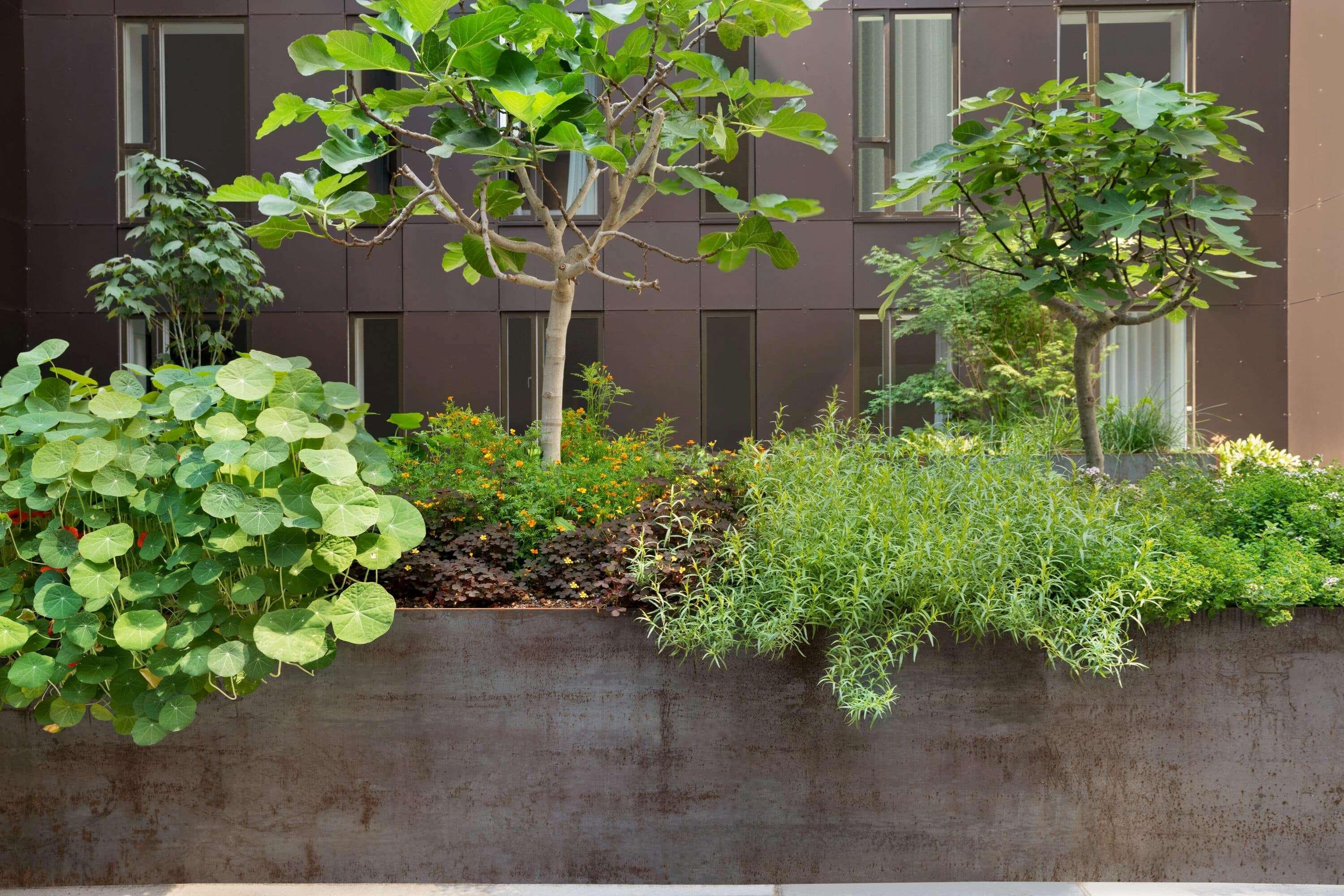 Comwell Copenhagen Portside Dolce By Wyndham Hotel Exterior foto "The garden is a work in progress"
